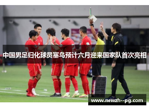 中国男足归化球员塞鸟预计六月迎来国家队首次亮相